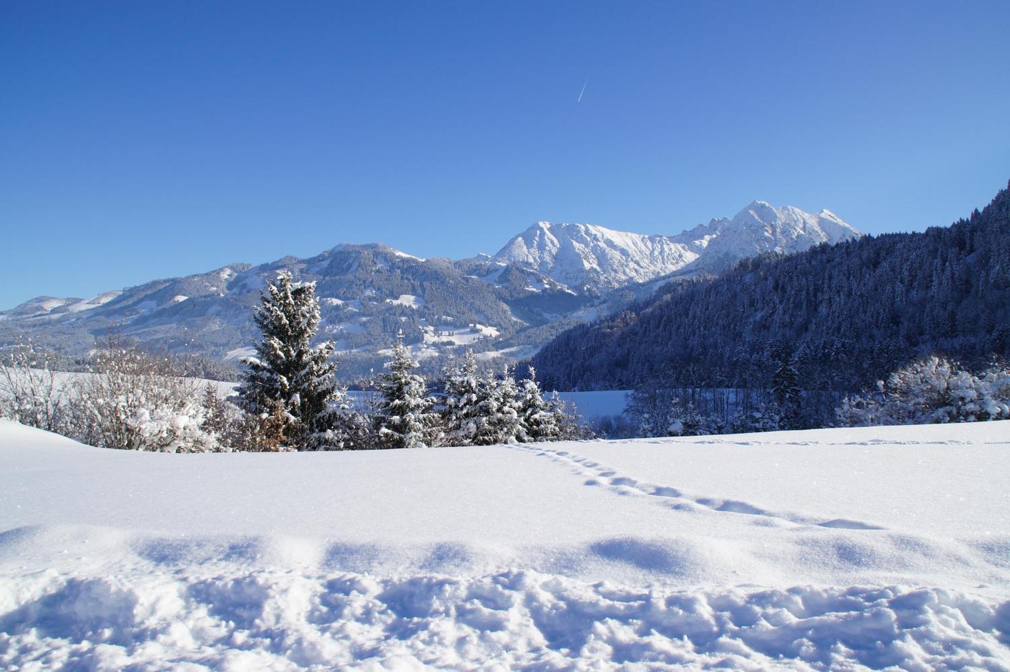 Wohlfuehlhotel Berwanger Hof Obermaiselstein Εξωτερικό φωτογραφία